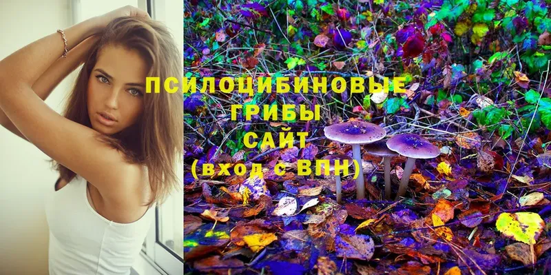 как найти   Горбатов  Галлюциногенные грибы MAGIC MUSHROOMS 